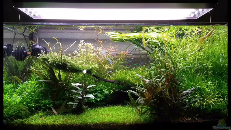 Stand März 2013 von Konzi (20)