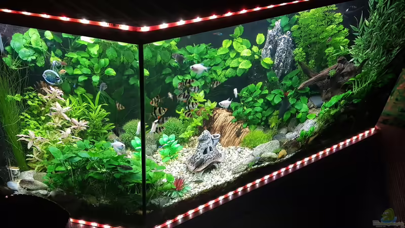 Stand März 2019 Stand März 2019