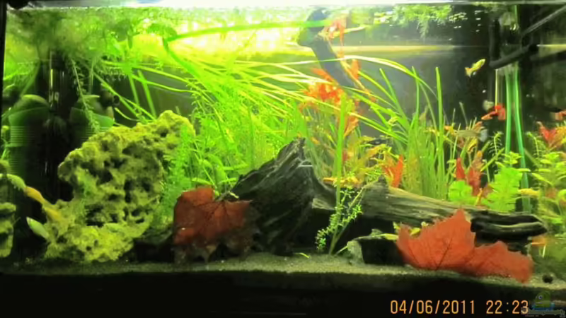 Stand mai 2011 von A. Twele (2)