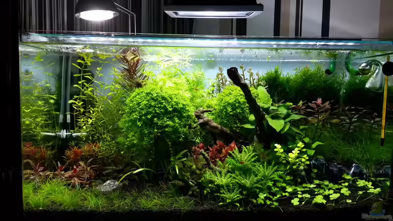 Stand Nov. 2013 von Markus93 (1)