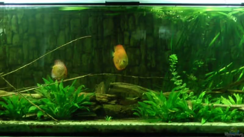 Stand Oktober 2013 von kellerkind (11)