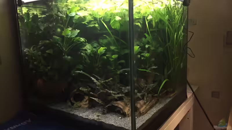 Stand Oktober 2017 von Danny (1)