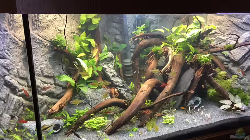 Stand Oktober 2017 von Danny (1)