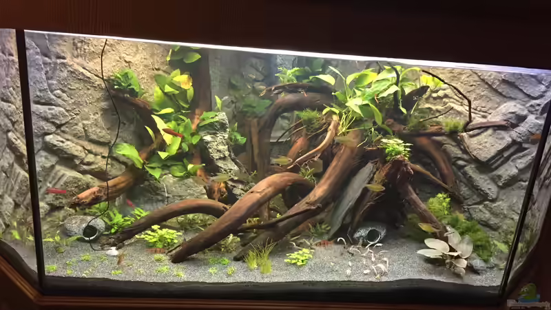 Stand Oktober 2017 von Danny (11)