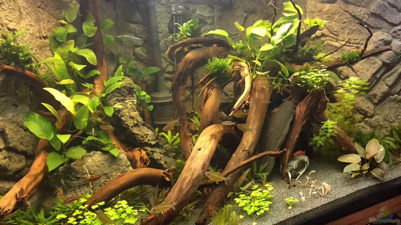 Stand Oktober 2017 von Danny (13)