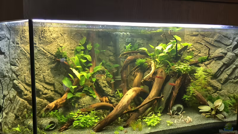 Stand Oktober 2017 von Danny (14)