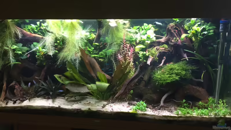 Stand Oktober 2017 von Danny (16)