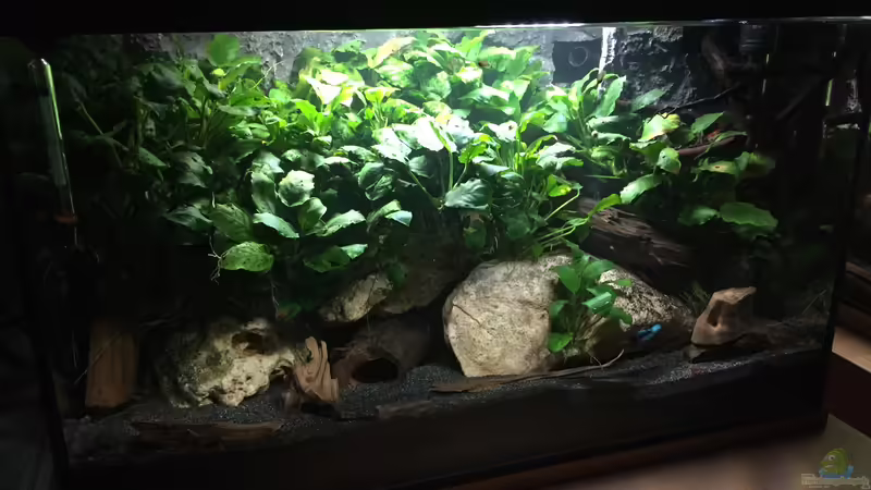 Stand Oktober 2017 von Danny (6)