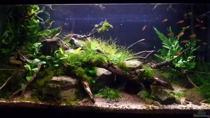 Stand vom 18.02.2011 von -serok- (2)