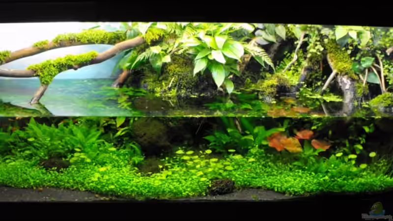 Stand vom 21.06.2010 von -serok- (5)