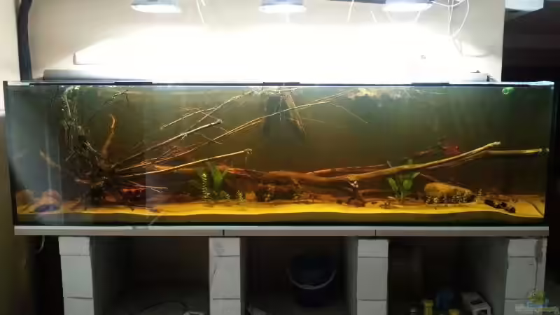 Stand vom 25.11.2012 von kellerkind (5)