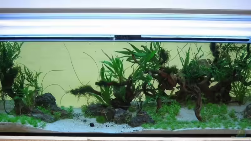 Stand von 17.7.2011 von Martin Slo. (3)