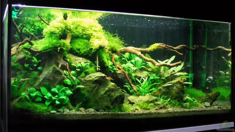 Stand vor der Umgestaltung von -serok- (4)