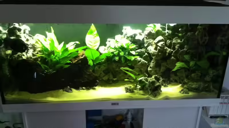 Standartbeleuchtung von Down Face (11)