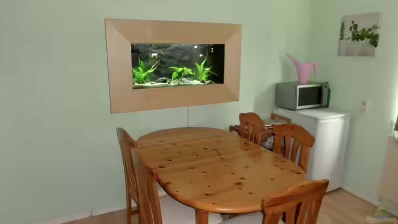 Standort: Wo sollte man ein Aquarium nicht hinstellen?