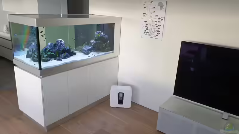 Standort: Wo sollte man ein Aquarium nicht hinstellen?