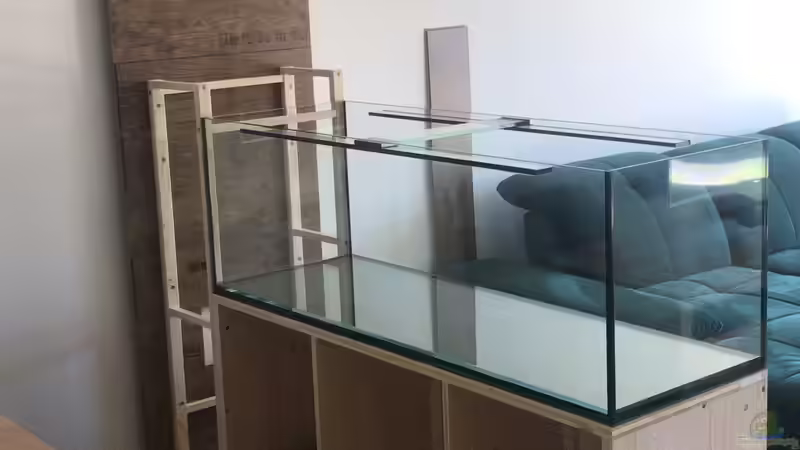 Standort: Wo sollte man ein Aquarium nicht hinstellen?