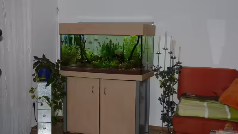 Standort im Wohnzimmer von Zewana (2)