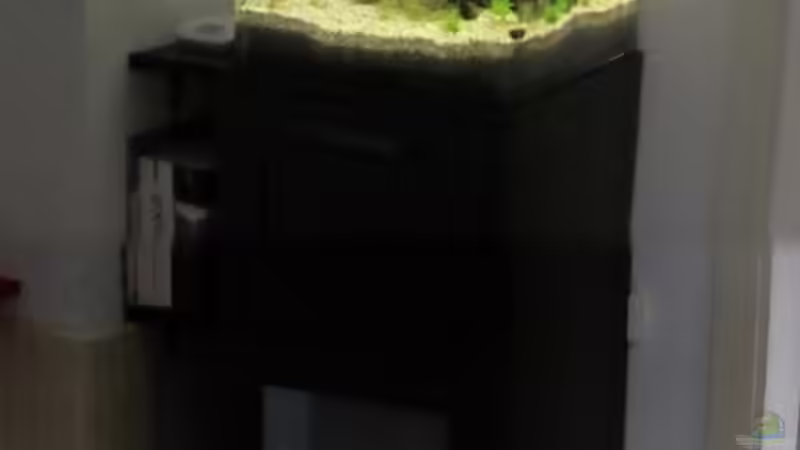 Standort von Gonnos (3)