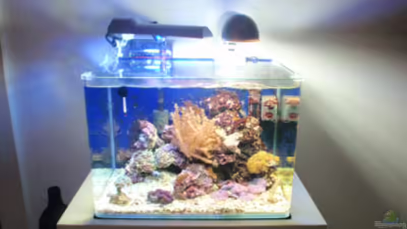 Standort von reefaddict (2)