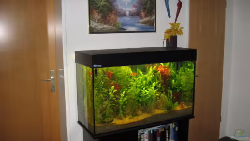 Standort von Thomas Stöbe (2)