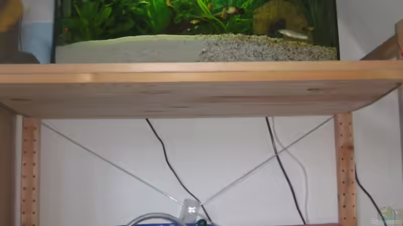 Standtort natürlich aufgeräumt wie immer ;-) von Henning Brinkmann (9)