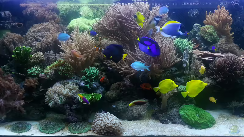 Standzeit 15 Monate ! von urbi (29)