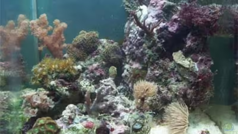 Standzeit 4 Monate von Ilonka Rohacek (4)