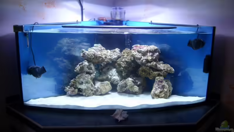 Start: am 27.08.08 von Dirk Schäfer (24)