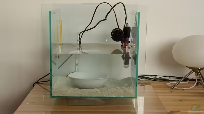 Start 13.2.2010_2 von starhopper (4)