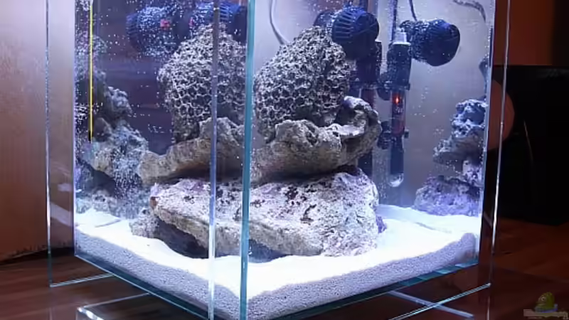 Start 13.2.2010_3 von starhopper (5)