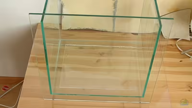 Start 13.2.2010 von starhopper (3)