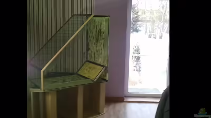 Start 14.02.2012 von genau so (4)