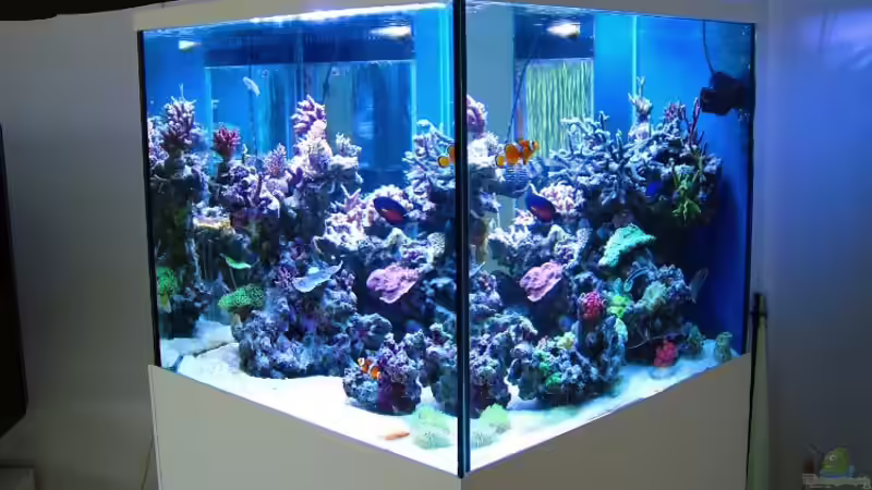 start 2012 von .uschi (2)