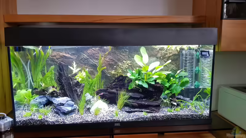 Start 2017 August von Manuela&Mike (4)