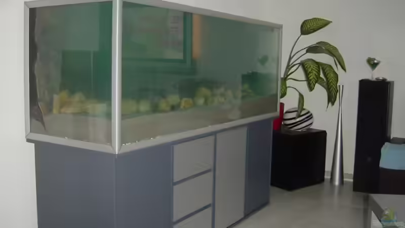 Start am 18.02.2007 von Sergio Raimundo (2)