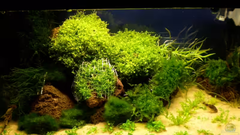 Start meines neuen Beckens von Marc Joist (9)