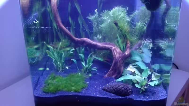 Start nach Umbau von MK-Squad (1)