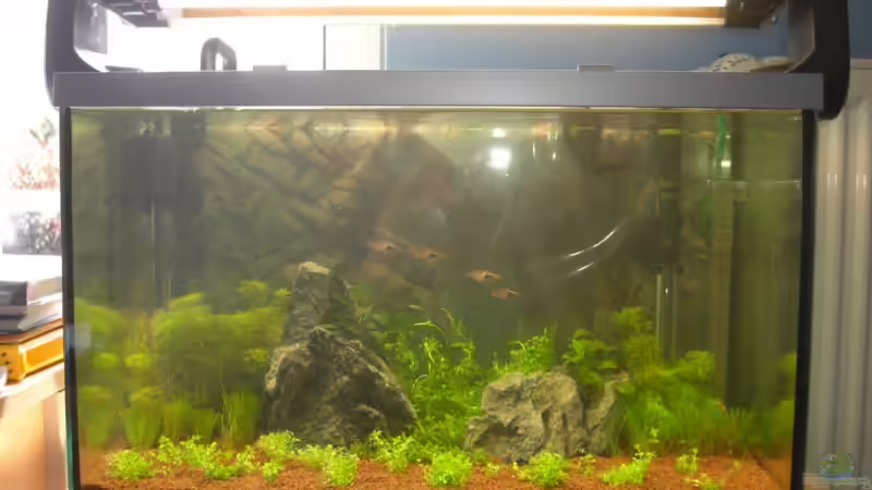 Start von Klaus Bachmann (2)