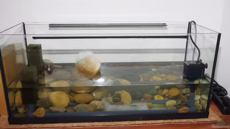 Start von Nico NK (2)