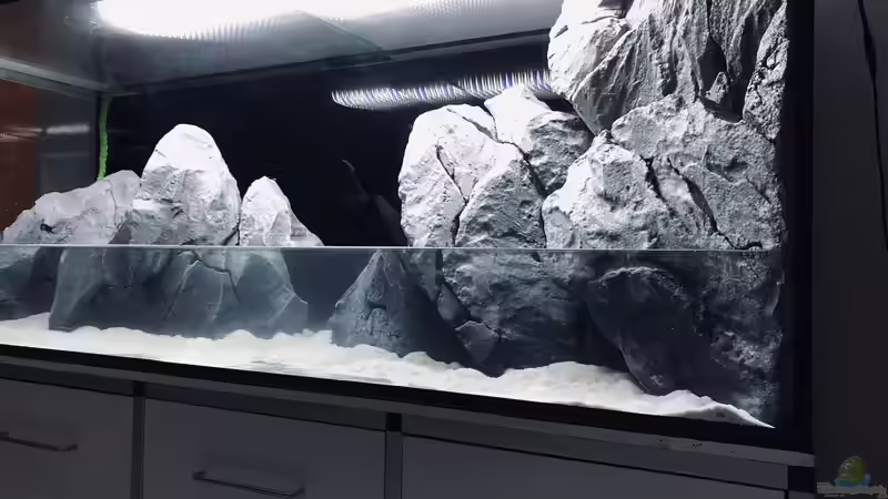 Startbild von P4TR1CK (1)