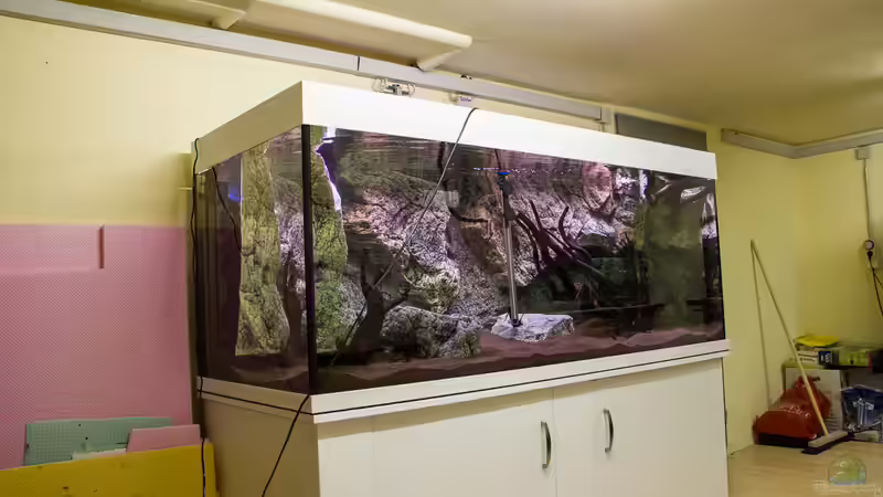 Startup Wasser ;-) von GoreSlayer (11)