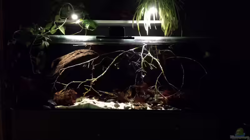 ??ste ??ste ??ste - love it von NRW (5)