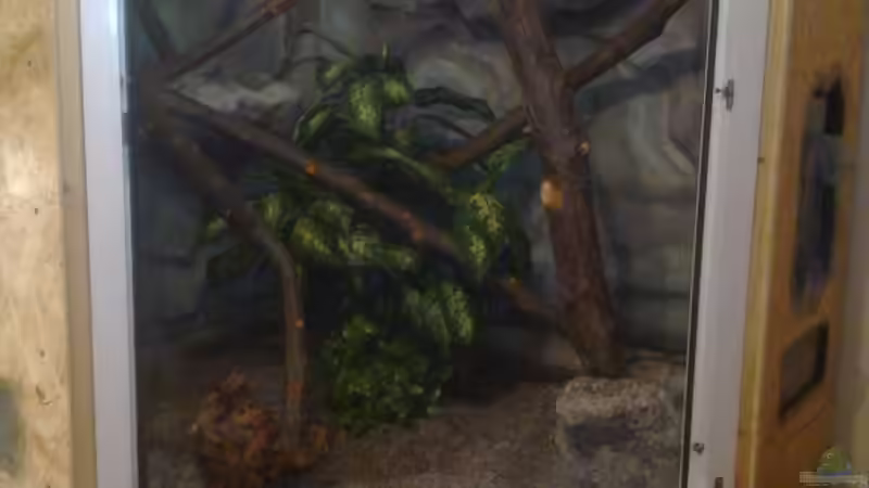 ??ste und fertige Rückwände von Betta Chris (35)