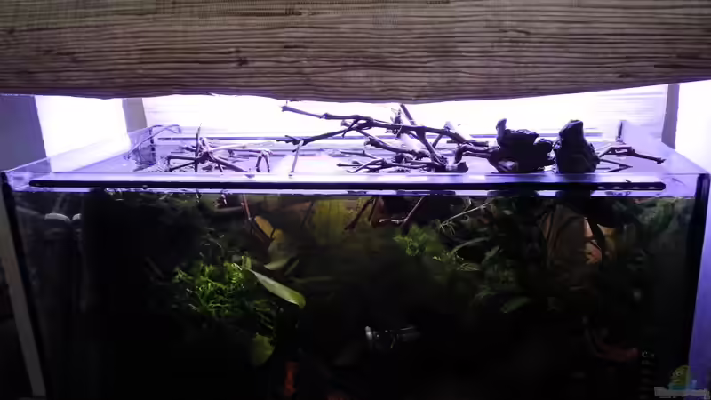 ??ste von oben ins Becken gehangen von miv (7)