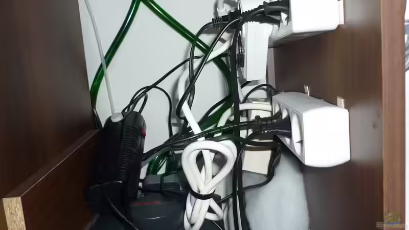 Stecker mit Zeitschaltuhren (Licht und Luft), Außenfilter, Luftpumpe (die Filterwatte von Stefan E. (18)