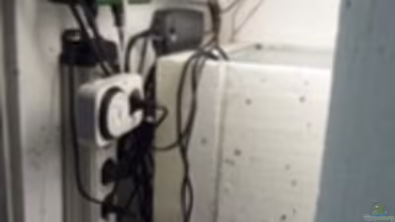 Steckerleiste von Jonas B. (29)