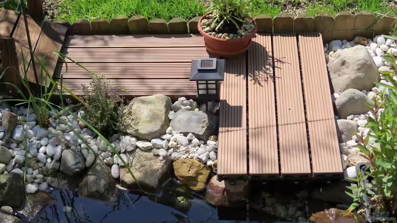 Steg für Katze von Thomas Limberg (29)