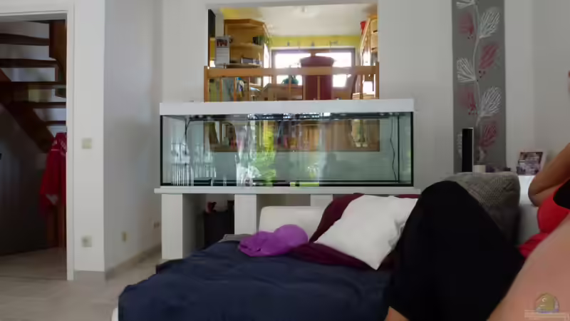 steht endlich an Ort und Stelle von master-marko (6)