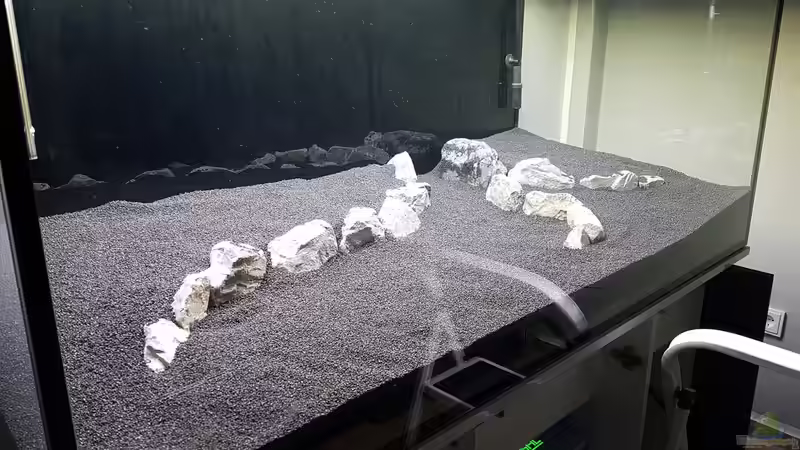 Stein Adern von Pflanzenmaster (24)